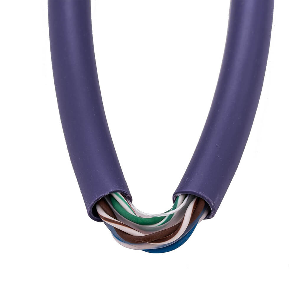 cat6-purple-cmr-inside.jpg